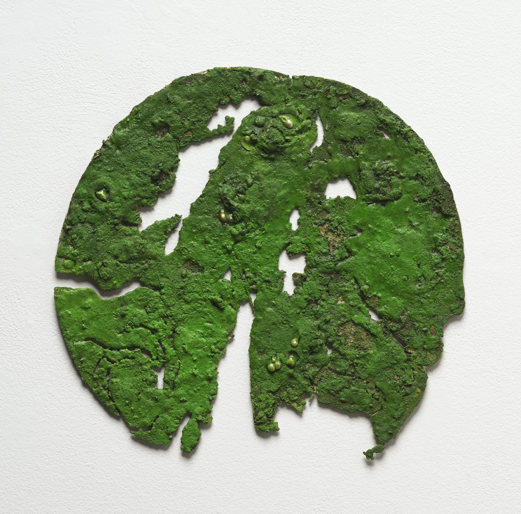 Lily Pad