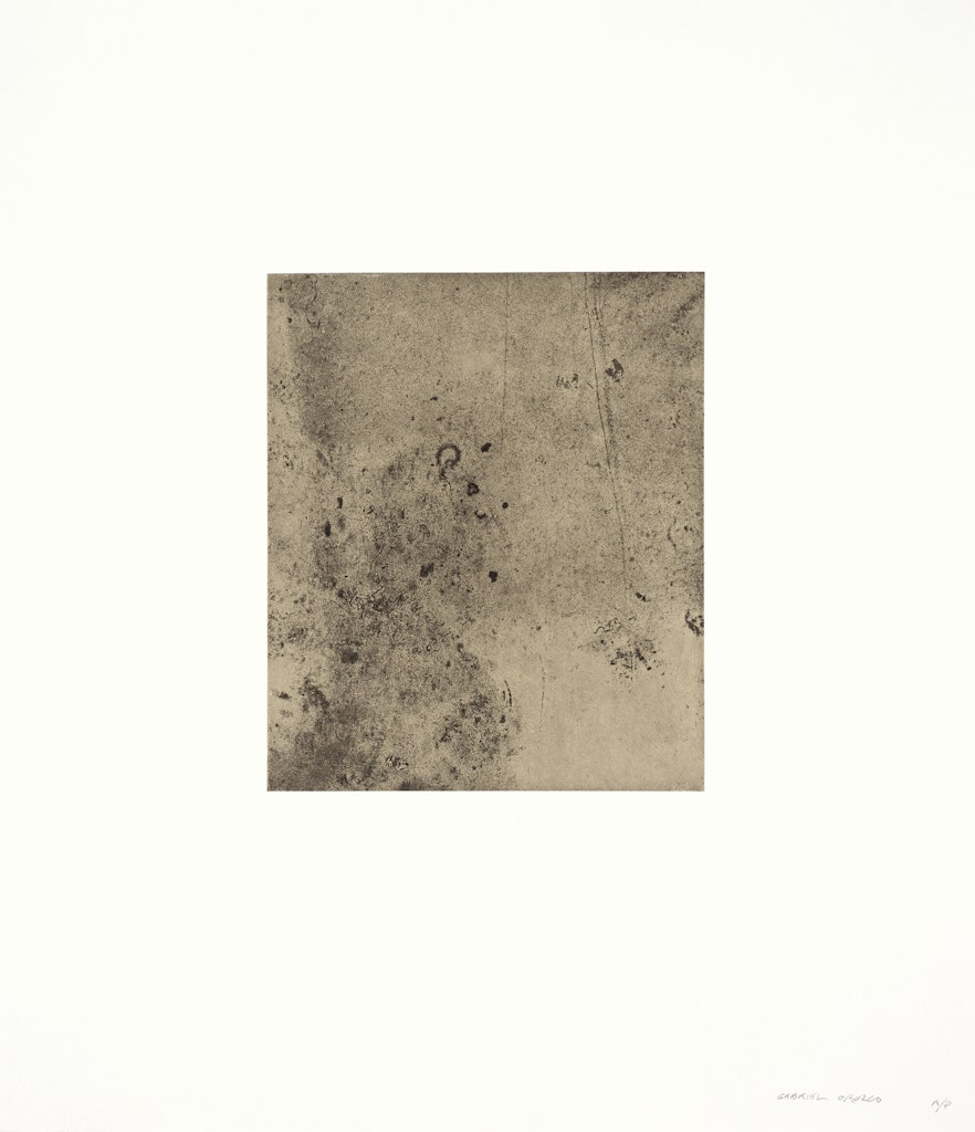 Polvo impreso (Dust Prints)